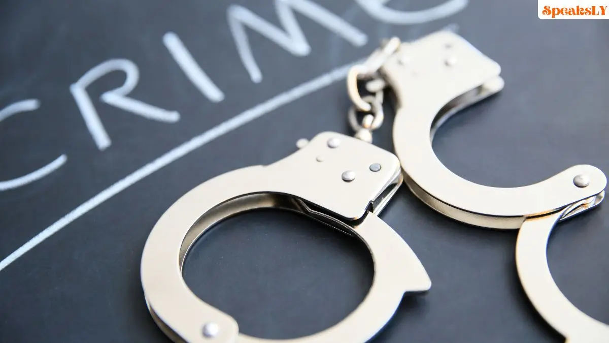 Pune News: Rising Sandalwood Theft in Shirur Taluka, Three Injured in Clash with Thieves